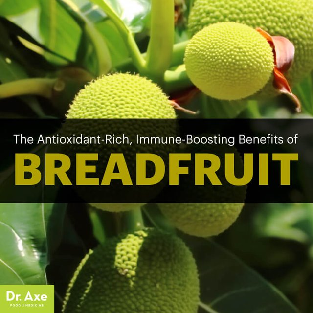 Breadfruit-ArticleMeme-1.jpg