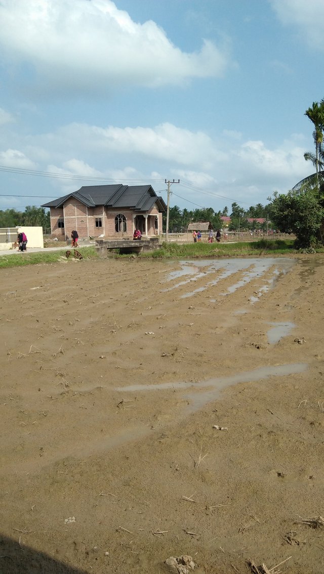 IMG20180214153246.jpg