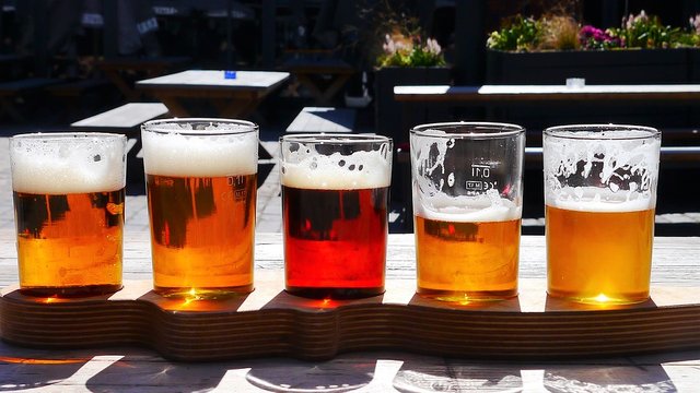 Varieties-Beer-Different-Types-Of-Hops-Alcohol-2370783.jpg
