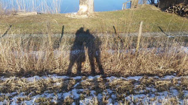 20180214_151909.jpg
