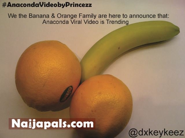 #AnacondaVideoByPrincezz (1)_Naijapals[dot]com.jpg