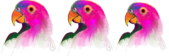 parrot_col02.png