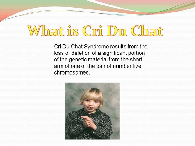 http___slideplayer.com_2493527_9_images_2_What+is+Cri+Du+Chat.jpg