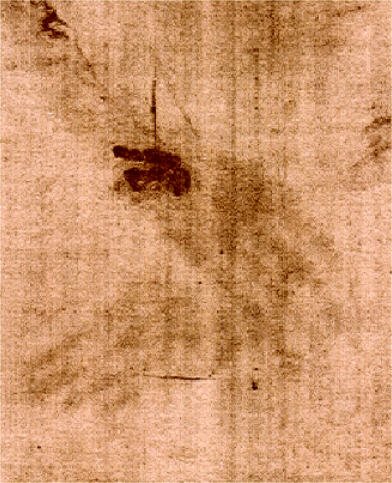 leonardo-da-vinci-shroud-of-turin-hands-wrists.jpg