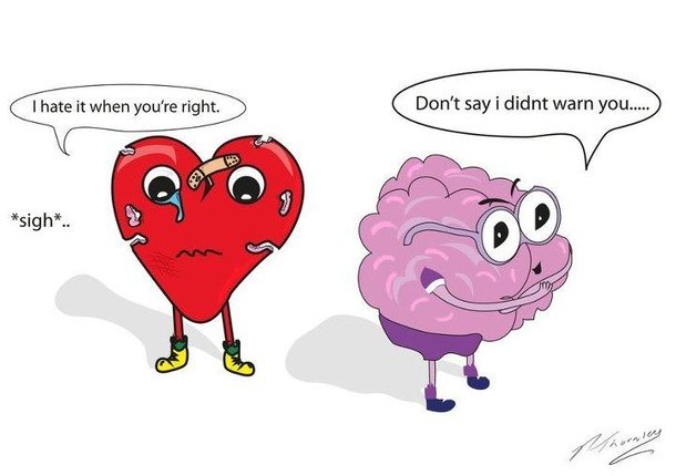 Favim.com-brain-cartoon-heart-heart-and-brain-heart-broke-327443.jpg