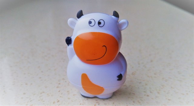 20170127_114935_cow.jpg