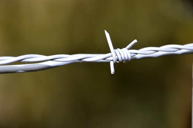 barbed-wire-3321085_960_720.jpg