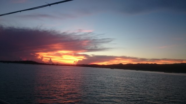 DSC_0101.JPG