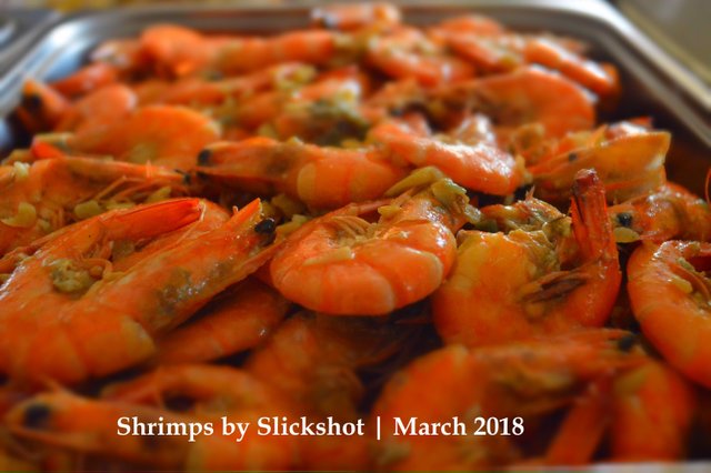shrimps by slickshot.jpg