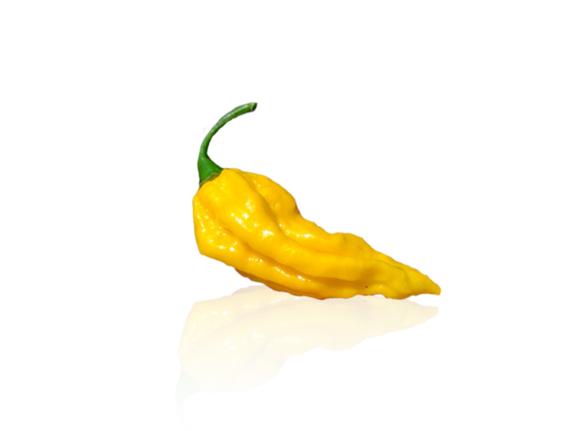 bhut_jolokia_yellow_1.png