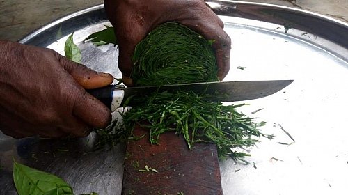 1489612609-Cutting-of-fresh-afang-leaves.jpg