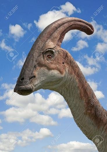 12951281-dinosaur-parasaurolophus-head-sky-background.jpg