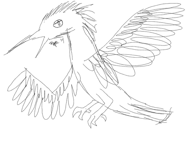 birdy.png