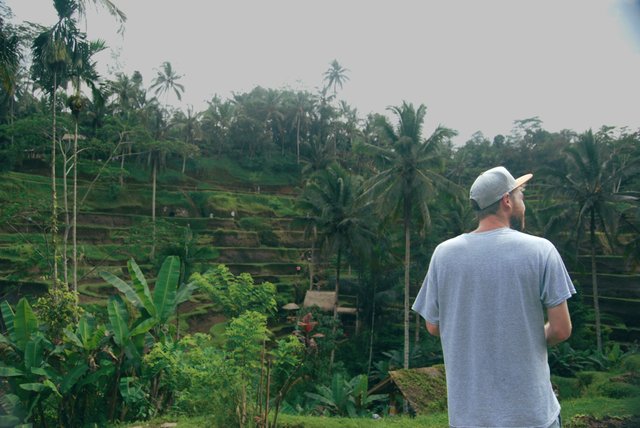 UBUD.JPG