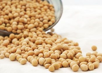 Soybean Peptides.jpg