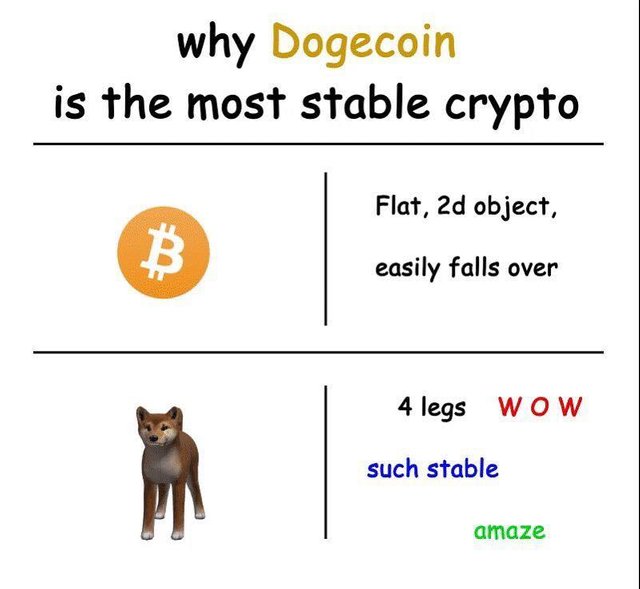 doge.jpg