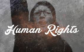 human rights.jpeg