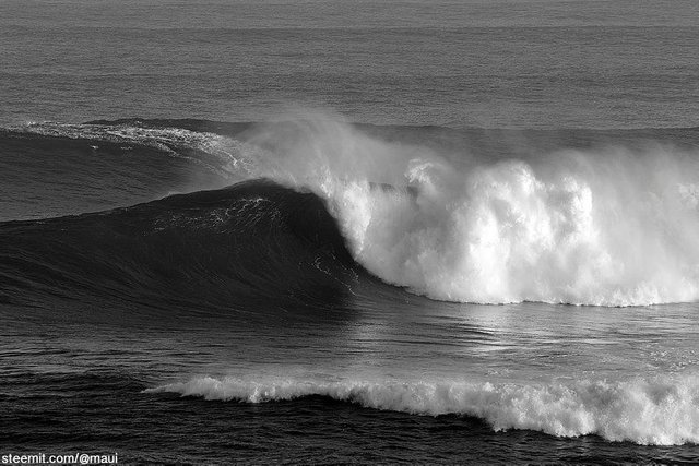 maui-hawaii_0203.jpg