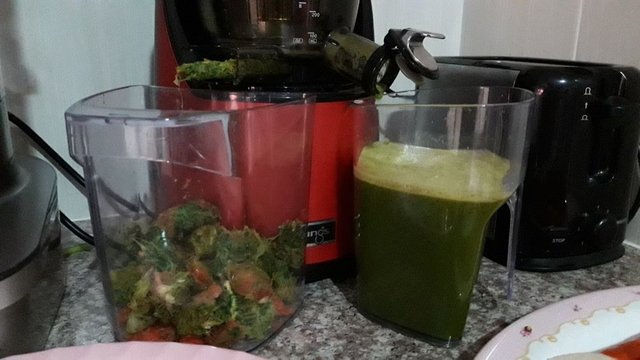 Juicing After a 10-Day Vacation in Japan!