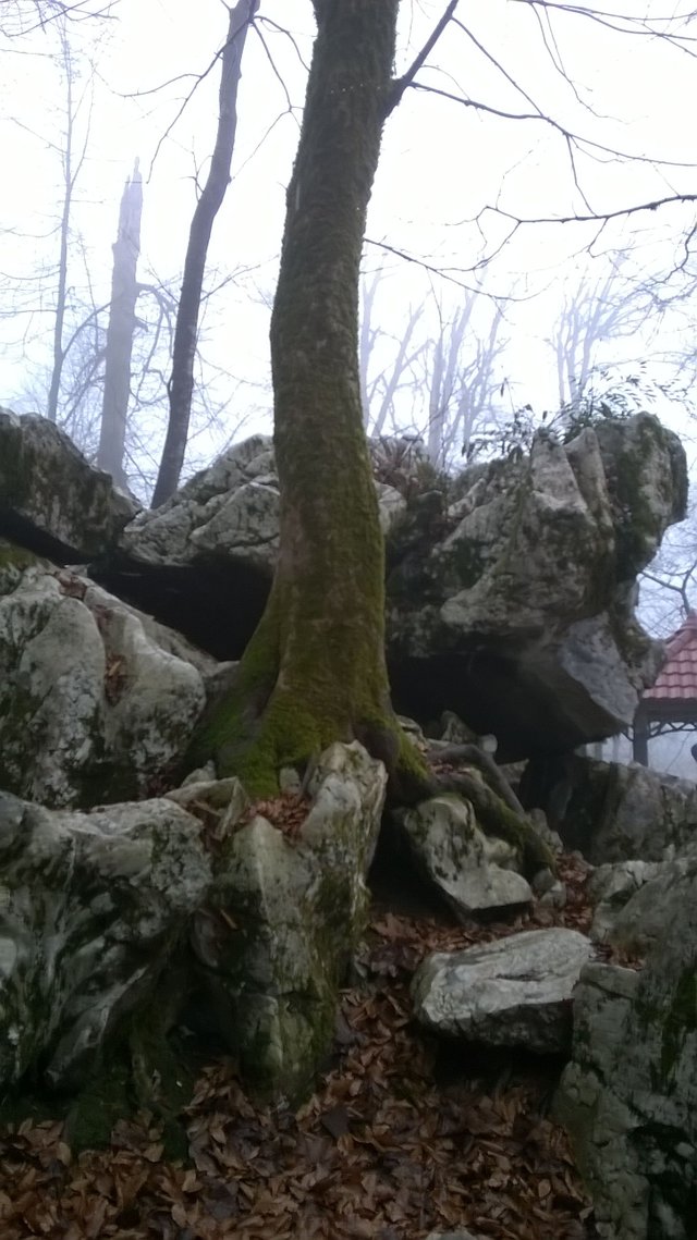 WP_20160115_12_23_32_Pro.jpg
