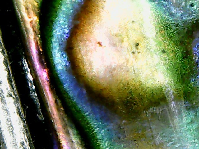 WIN_20180508_16_08_08_Pro.jpg