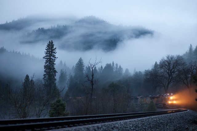 nature_winter_trees_railway_train_lights_mist_forest-167972.jpg