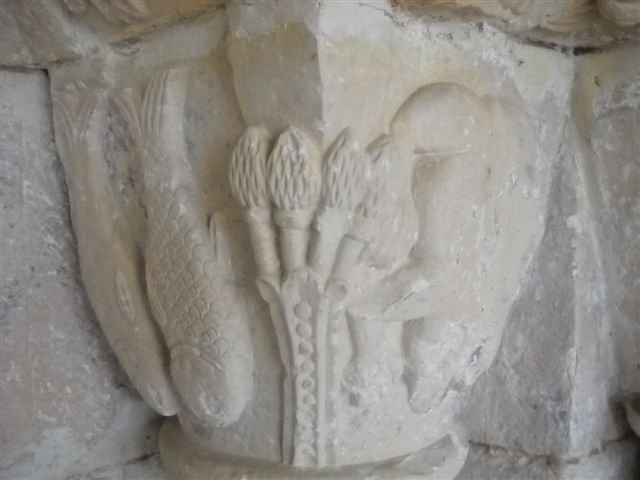 DSCN9395.jpg