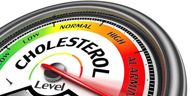 9-cara-menurunkan-kolesterol-secara-alami-jika-mempunyai-kadar-kolesterol-tinggi.jpg