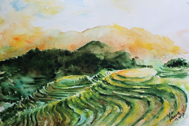 rice fields bali indonesia asia original watercolor painting.jpg