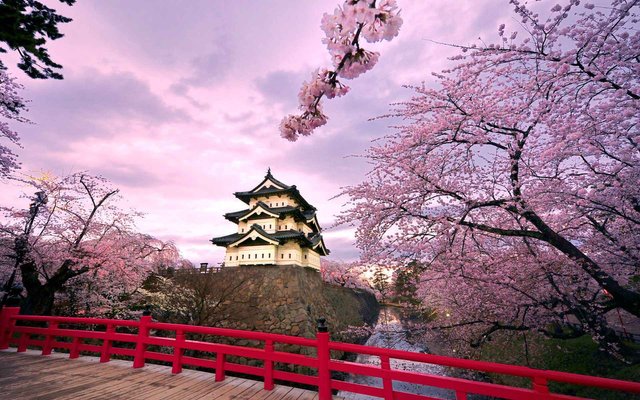 hirosaki_castle_japan-wide.jpg