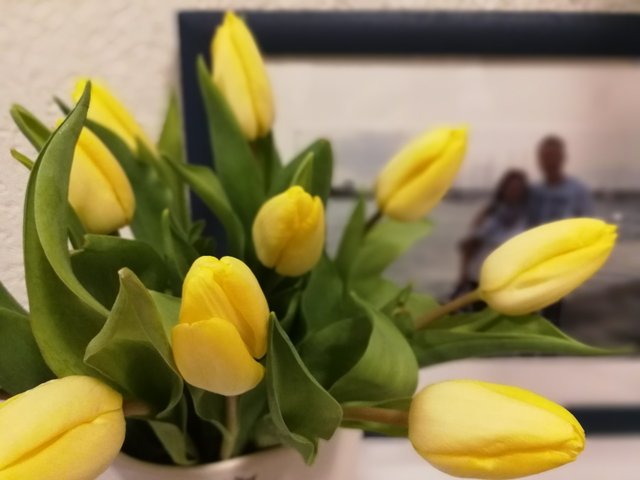 Tulpen 3.jpg