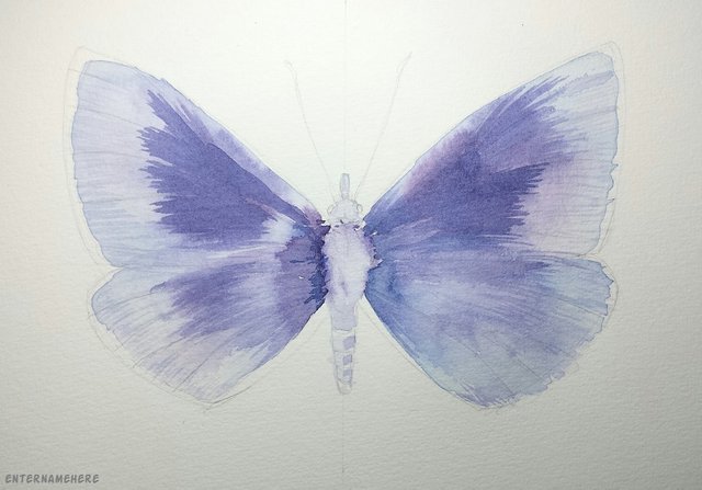 steemit-alphabetartchallenge-enternamehere-day24-xerces-butterfly-1.jpg