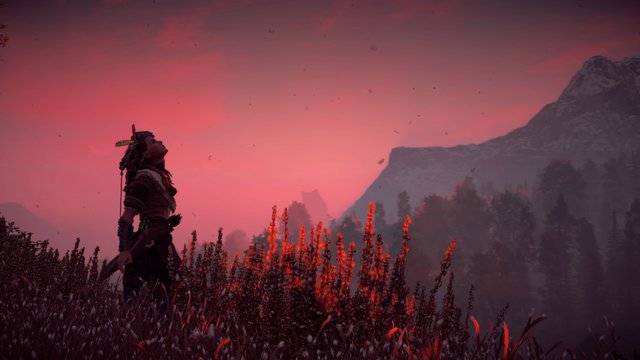 Horizon Zero Dawn™_20170313012515.jpg