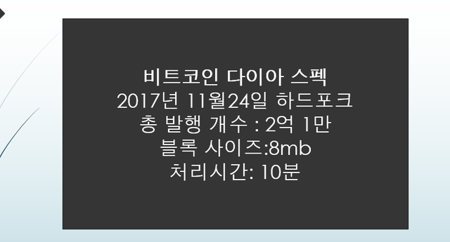 비다 스팩.png