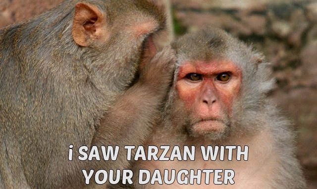 TARZAN.jpg