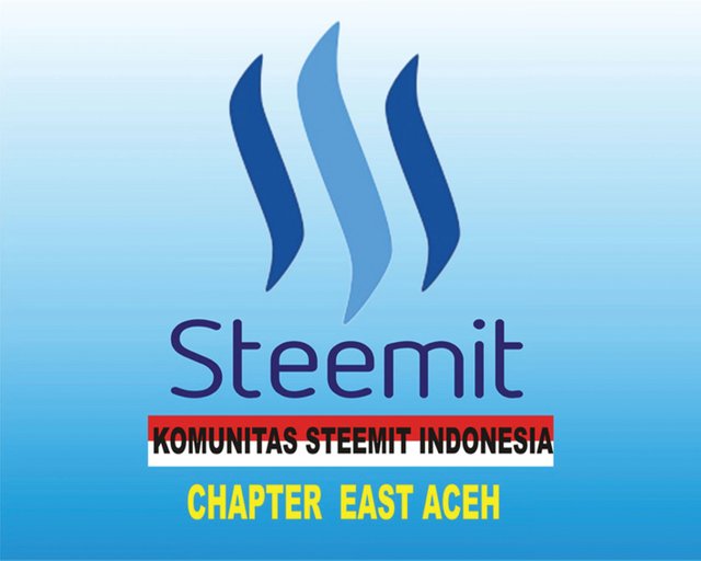 Chapter East Aceh.JPG