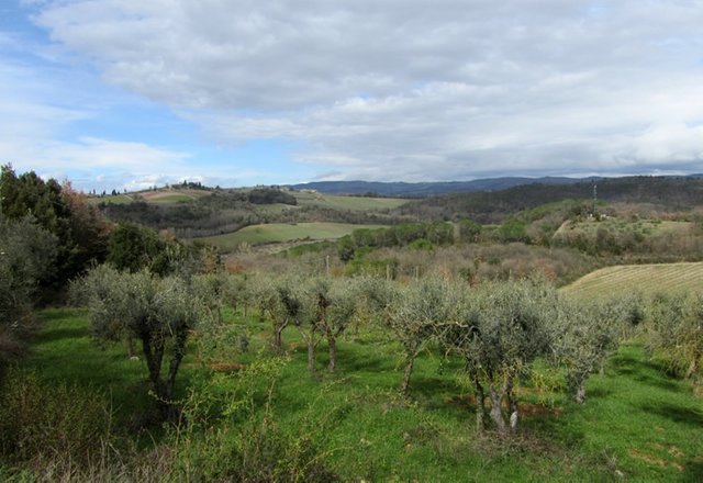 tuscany-02b.JPG