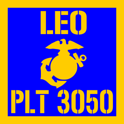 3050-LEO-3-M-_icon.png