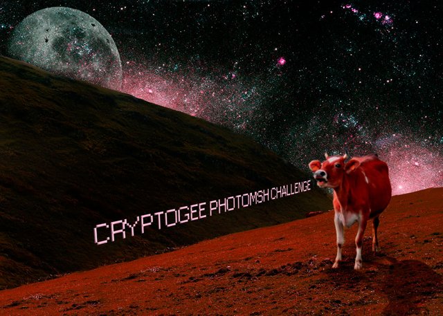 Cryptogee Photomsh Challenge.jpg