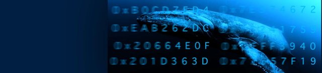Whaleshares Logo.jpg
