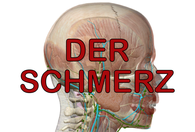 DERSCHMERZ.png