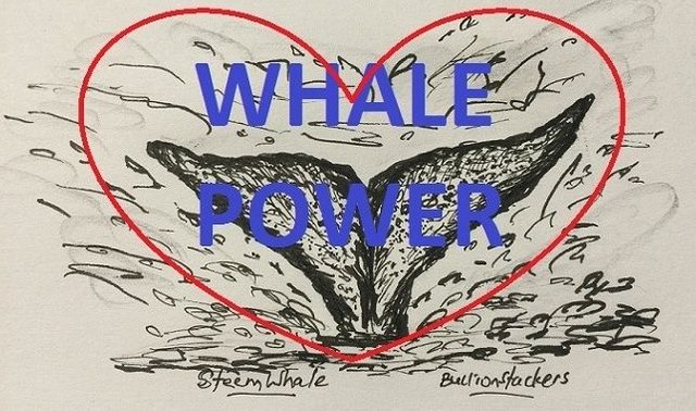 whalepower.jpg