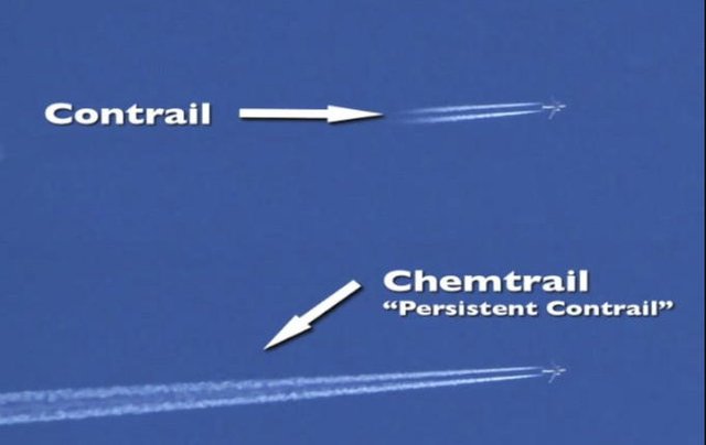 chemmy.jpg