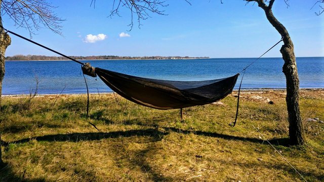 hammock.jpg