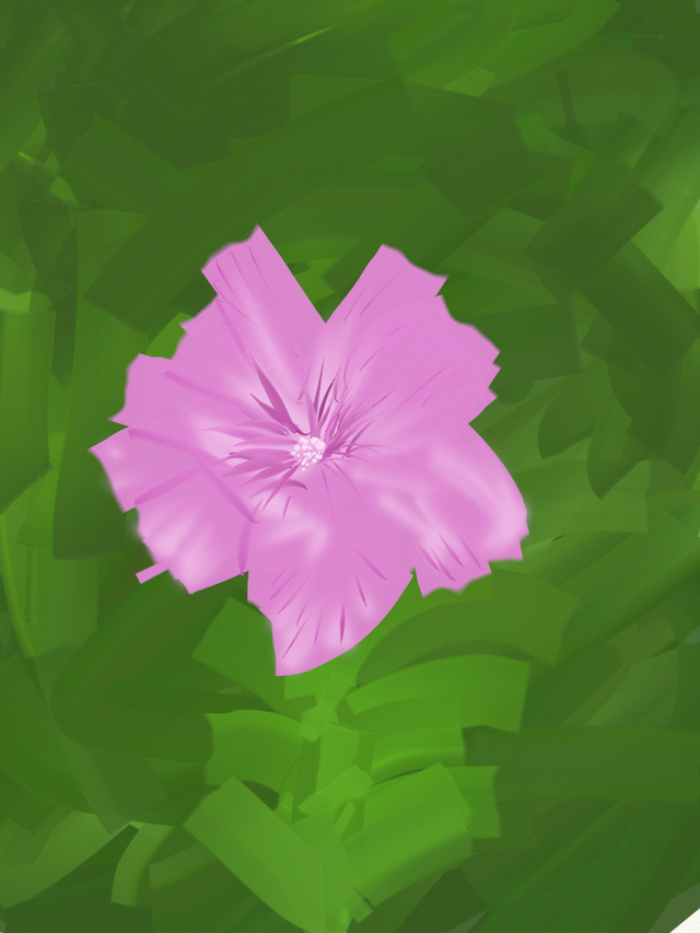 Pink Wild flower.png