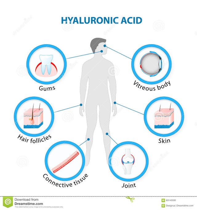 hyaluronic-acid-human-body-83143330.jpg