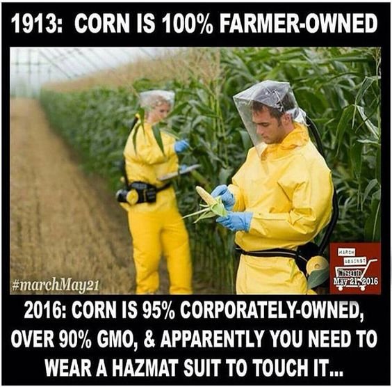 monsanto2.jpg