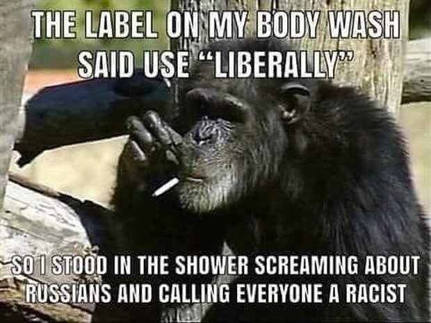 liberal-monkey.jpg