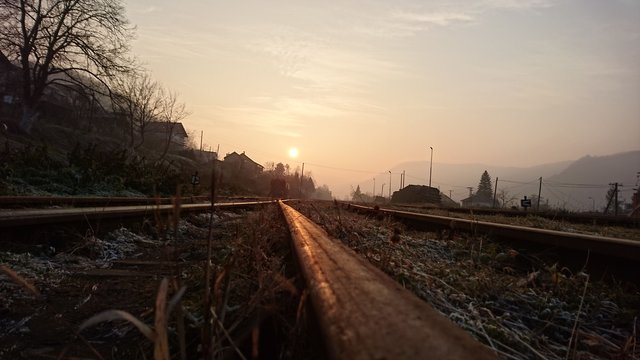 DSC_0113.JPG