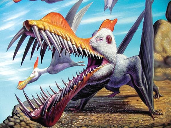 pterosaur.dinosore.jpg